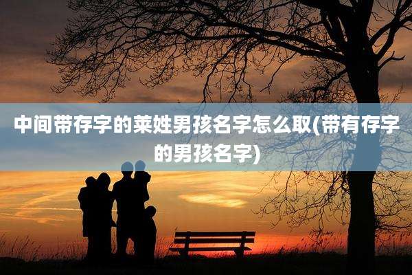 中间带存字的莱姓男孩名字怎么取(带有存字的男孩名字)