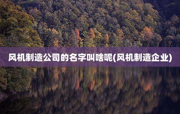 风机制造公司的名字叫啥呢(风机制造企业)