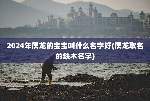 2024年属龙的宝宝叫什么名字好(属龙取名的缺木名字)