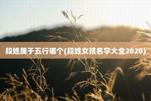 段姓属于五行哪个(段姓女孩名字大全2020)