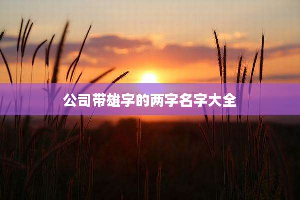 公司带雄字的两字名字大全