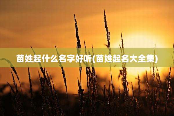 苗姓起什么名字好听(苗姓起名大全集)