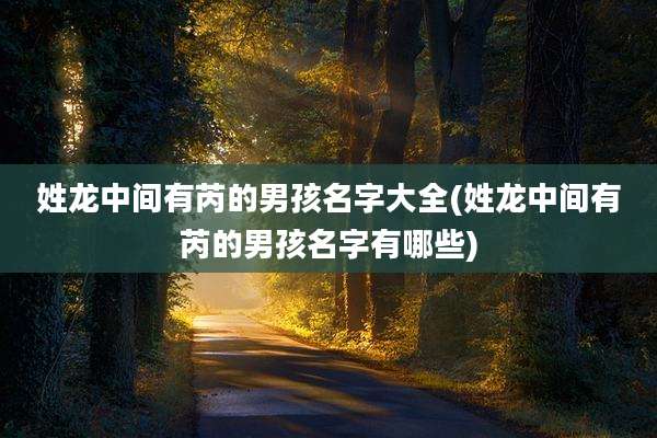 姓龙中间有芮的男孩名字大全(姓龙中间有芮的男孩名字有哪些)
