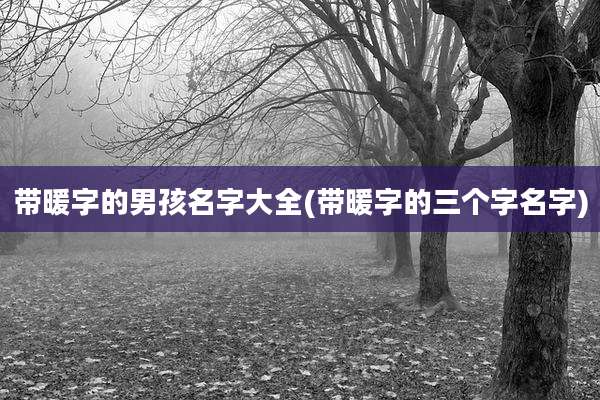 带暖字的男孩名字大全(带暖字的三个字名字)