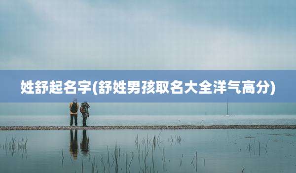 姓舒起名字(舒姓男孩取名大全洋气高分)