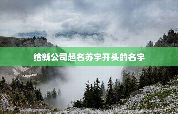给新公司起名苏字开头的名字