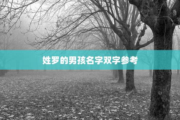 姓罗的男孩名字双字参考
