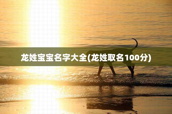 龙姓宝宝名字大全(龙姓取名100分)