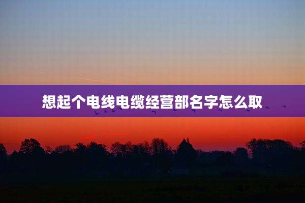 想起个电线电缆经营部名字怎么取