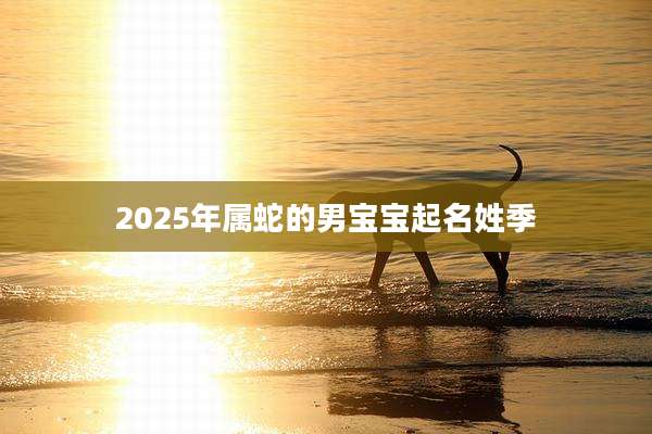 2025年属蛇的男宝宝起名姓季