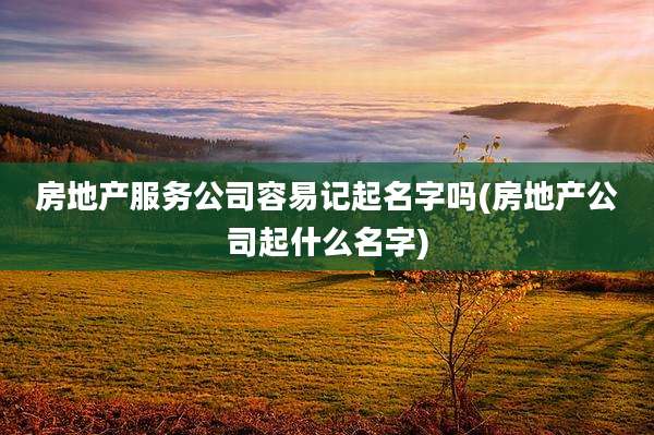 房地产服务公司容易记起名字吗(房地产公司起什么名字)