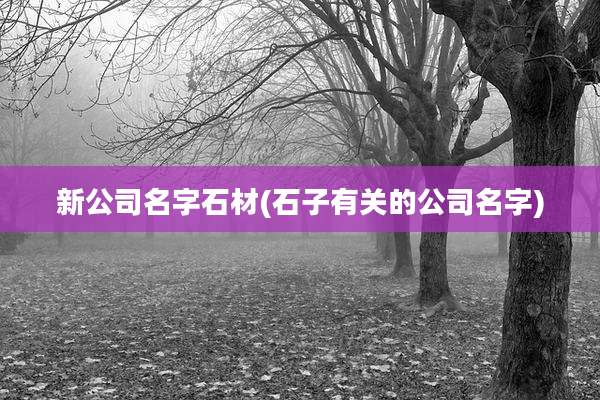 新公司名字石材(石子有关的公司名字)
