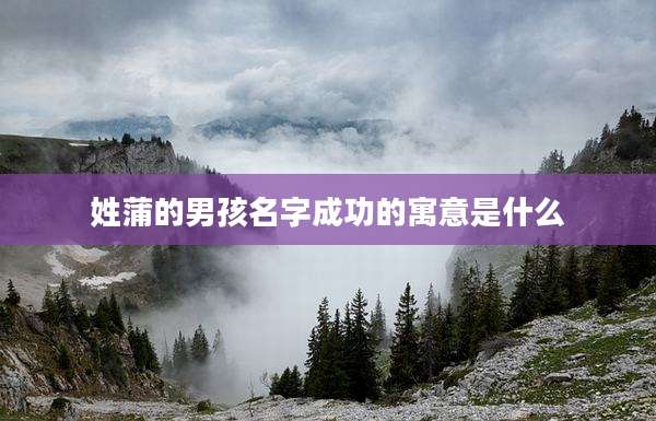 姓蒲的男孩名字成功的寓意是什么