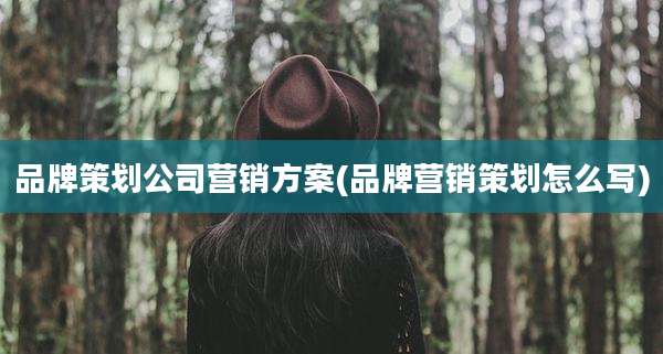 品牌策划公司营销方案(品牌营销策划怎么写)