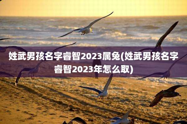 姓武男孩名字睿智2023属兔(姓武男孩名字睿智2023年怎么取)