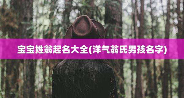 宝宝姓翁起名大全(洋气翁氏男孩名字)