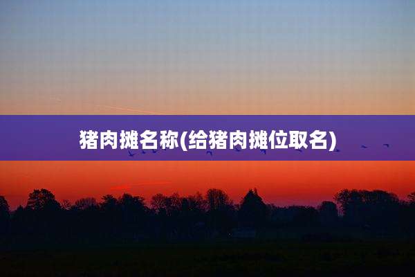 猪肉摊名称(给猪肉摊位取名)