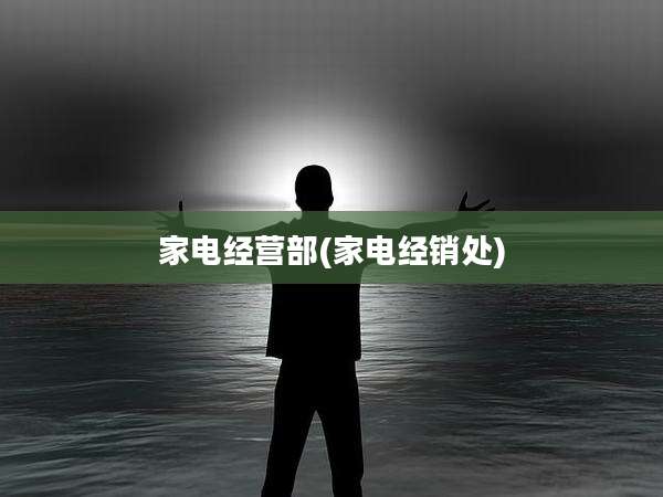 家电经营部(家电经销处)