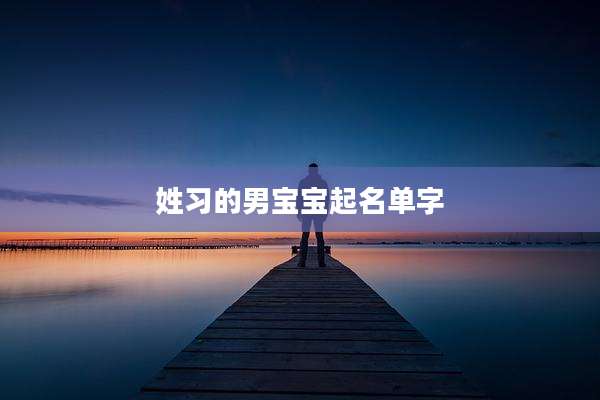 姓习的男宝宝起名单字