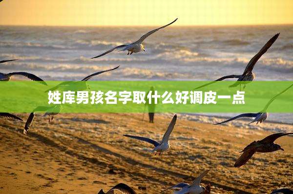 姓库男孩名字取什么好调皮一点