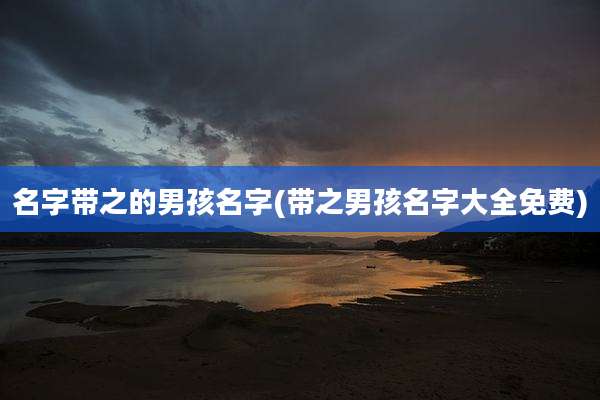 名字带之的男孩名字(带之男孩名字大全免费)