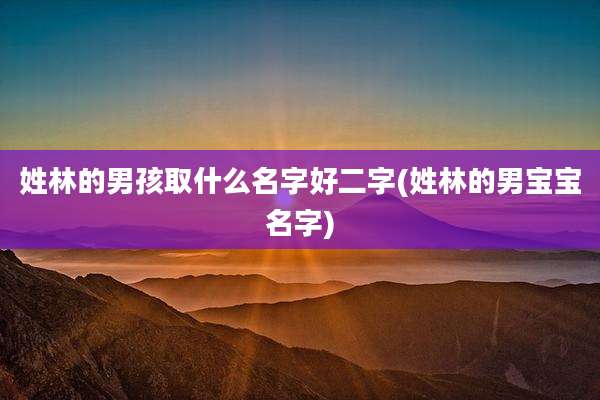 姓林的男孩取什么名字好二字(姓林的男宝宝名字)