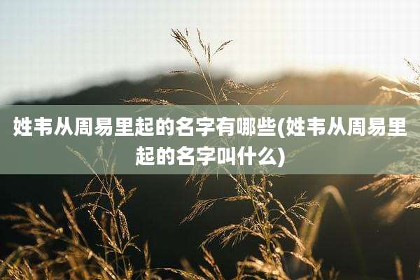 姓韦从周易里起的名字有哪些(姓韦从周易里起的名字叫什么)