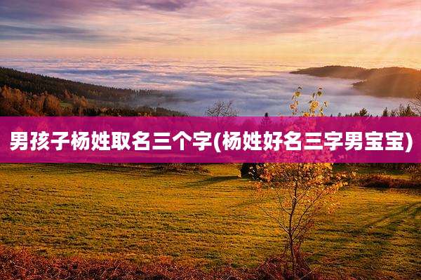 男孩子杨姓取名三个字(杨姓好名三字男宝宝)