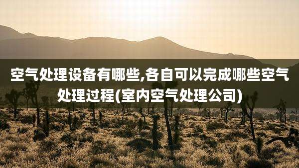 空气处理设备有哪些,各自可以完成哪些空气处理过程(室内空气处理公司)