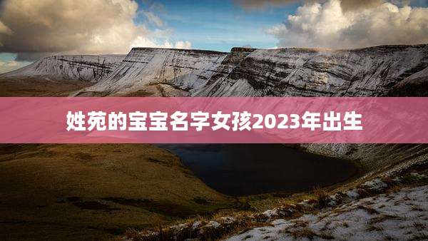 姓苑的宝宝名字女孩2023年出生