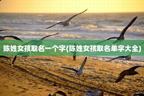 陈姓女孩取名一个字(陈姓女孩取名单字大全)