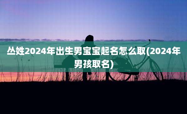 丛姓2024年出生男宝宝起名怎么取(2024年男孩取名)