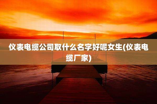 仪表电缆公司取什么名字好呢女生(仪表电缆厂家)