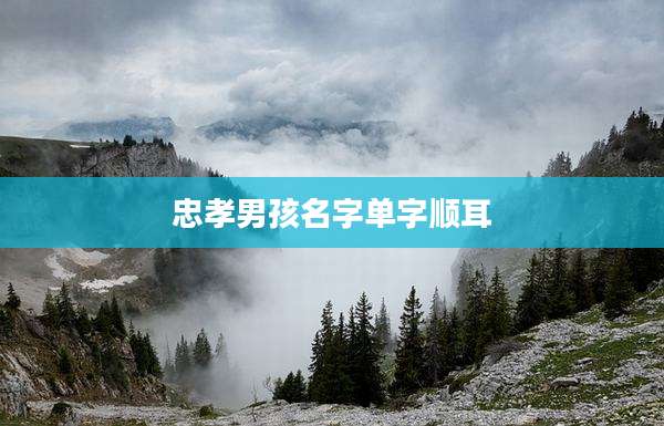 忠孝男孩名字单字顺耳