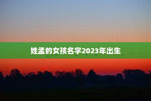 姓孟的女孩名字2023年出生