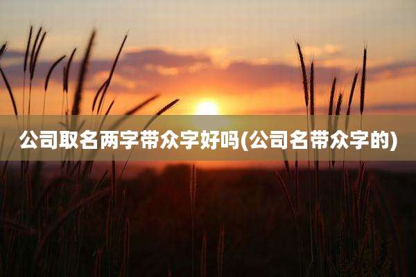 公司取名两字带众字好吗(公司名带众字的)
