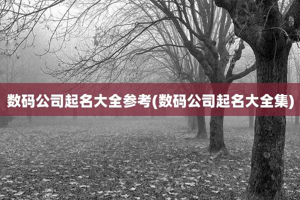 数码公司起名大全参考(数码公司起名大全集)
