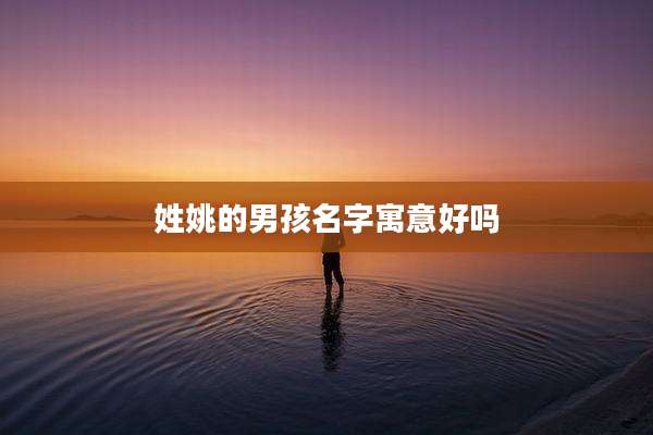 姓姚的男孩名字寓意好吗