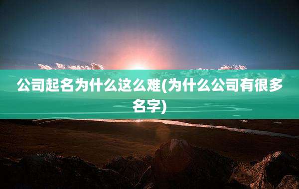 公司起名为什么这么难(为什么公司有很多名字)