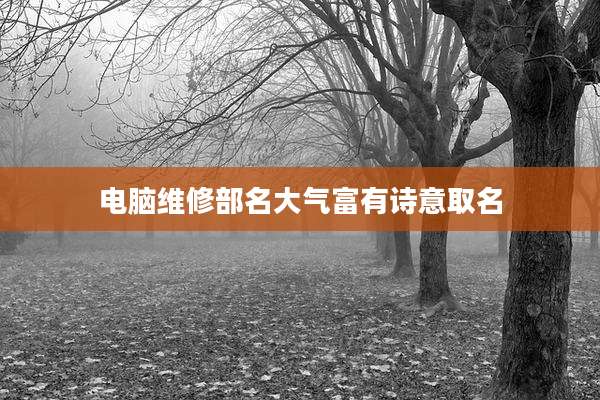 电脑维修部名大气富有诗意取名