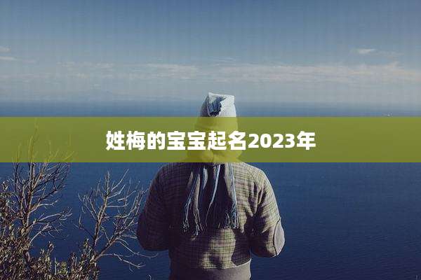 姓梅的宝宝起名2023年