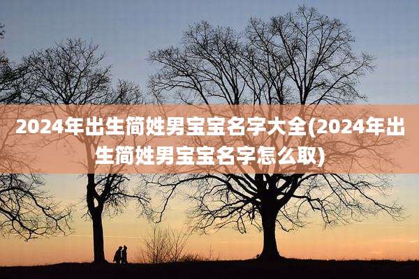 2024年出生简姓男宝宝名字大全(2024年出生简姓男宝宝名字怎么取)
