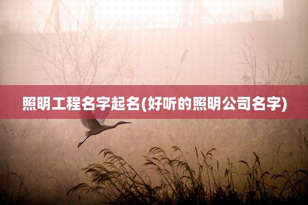 照明工程名字起名(好听的照明公司名字)