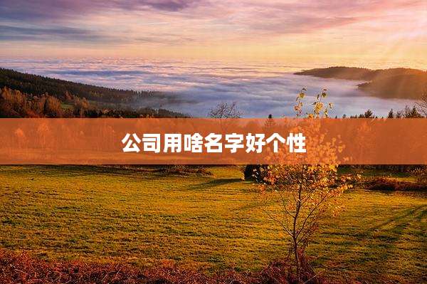 公司用啥名字好个性