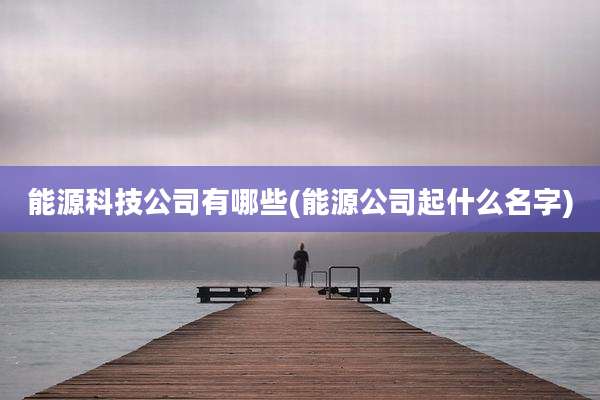 能源科技公司有哪些(能源公司起什么名字)