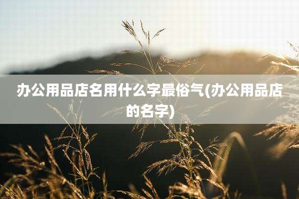 办公用品店名用什么字最俗气(办公用品店的名字)