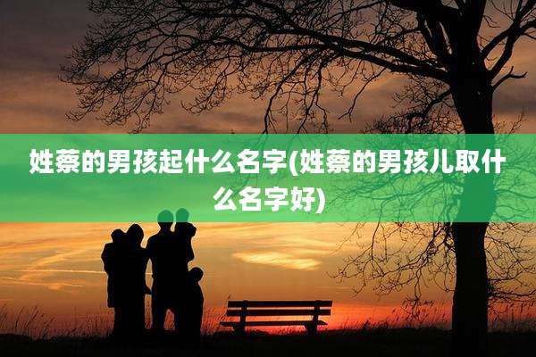 姓蔡的男孩起什么名字(姓蔡的男孩儿取什么名字好)