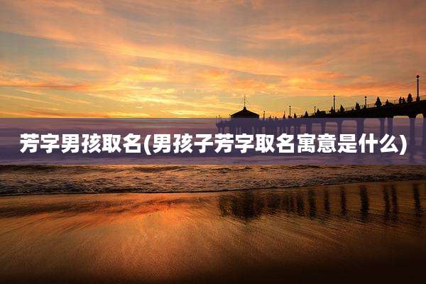 芳字男孩取名(男孩子芳字取名寓意是什么)