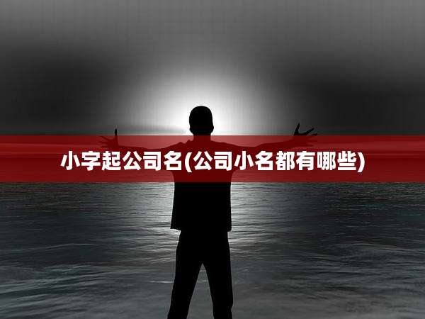 小字起公司名(公司小名都有哪些)