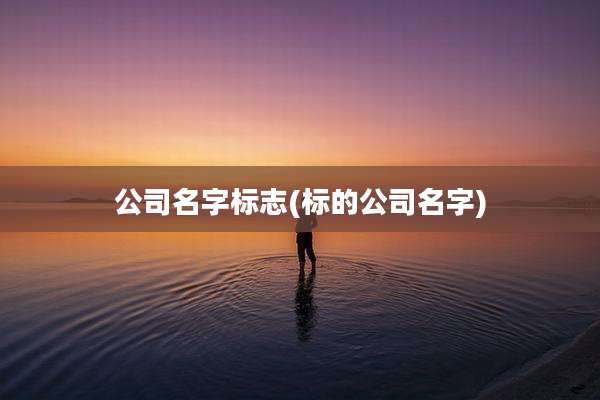 公司名字标志(标的公司名字)